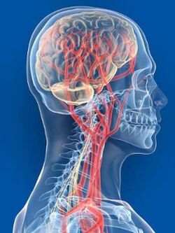 Impaired blood flow to the brain is another cause of hypertension